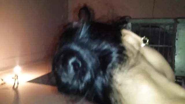 熱い女性は短いロールを取って 無料 女性 用 エロ 動画