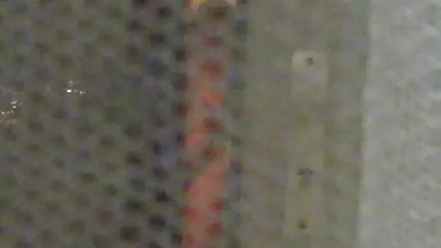 荒肛門金髪に座って h 動画 無料 女性 向け