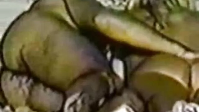 大学のお祝いでも若者がセックスをしている 女性 用 エロ 動画 サイト